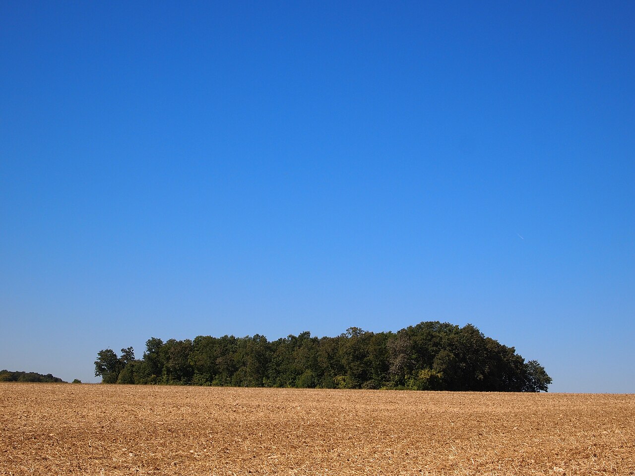 Quatre Tumulis de Tusson